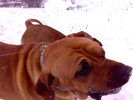 Tessa 15 luni Pacco 20 luni