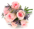 7-trandafiri-roz-poza-t-P-n-dreamstime_5398300