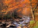 39_1024[1]