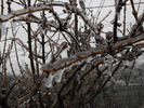DSCF2203
