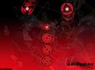 XSTEMSIMFMWSATWPVKA[2]
