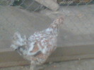 Imag026