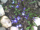 Imag029