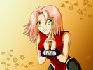 sakurabythepakmanon5[1]