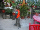 Picture 074