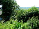 DSC01793_01