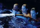 Gallery_Photos_2[1]