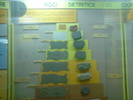 DSC00483