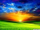 green-field-with-sunset_800