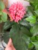 21 sept 2008 017