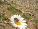 DSCF6089