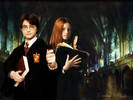 harry-and-ginny-harry-and-ginny-2961726-800-600