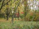 DSC00289