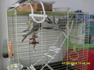 SDC10861