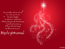 Christmas Wallpapers (336)
