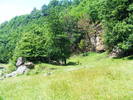 DSCF2524