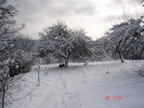 DSC08736