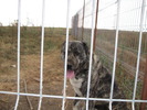 poze 11.10.2009 Jucu 024