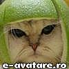 avatare_gratuite_5f6c9bcff69baa9b0a9aeb067ac87fc8