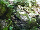 DSCF2421