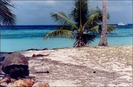 aldabra_africa[1]