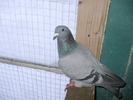 DSCF3897