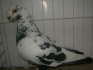 SANY0121