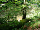 DSCF5090