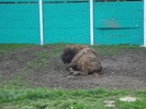 Picture 126