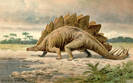 stegosaurus[1]