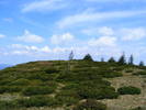 DSCF0301