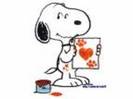 snoopy (11)