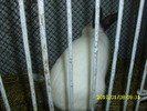 Picture 062