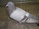 P1010182