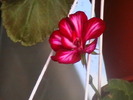 Picture 038