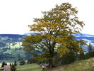 LANDSC08