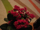 DSC09782