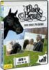 black beauty DvD