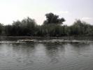 DSC01793