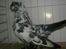 SANY0123