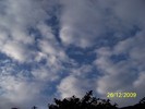 100_7966