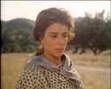 The_Thorn_Birds_12