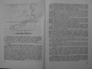 rasele de porumbei din romania -bonatiu 004