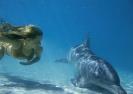 Gallery_Photos_4[1]