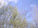 DSC00855