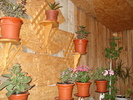 DSC09790