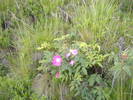 DSCF6139