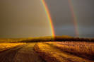 rainbow_elam_1