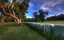 01869_atthepark_1440x900