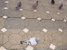 P9040080